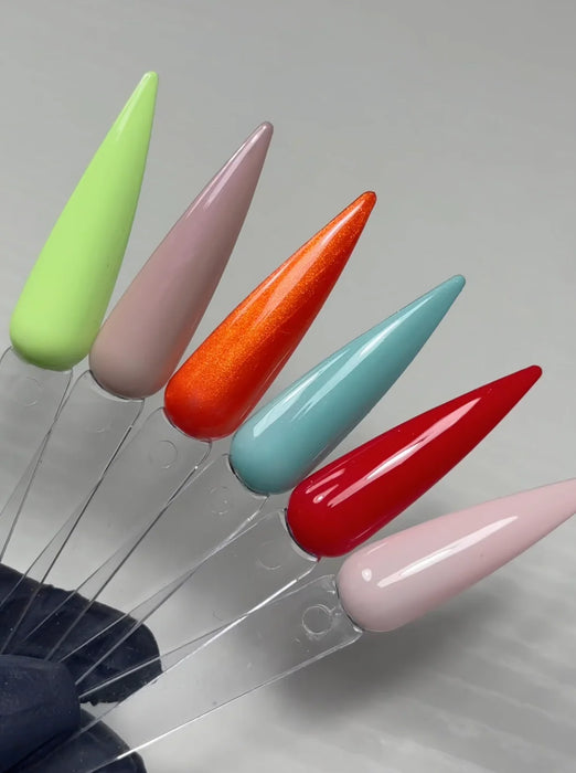 P+ Gel Polish Collection - Lost in Wonderland